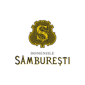 Sponsori